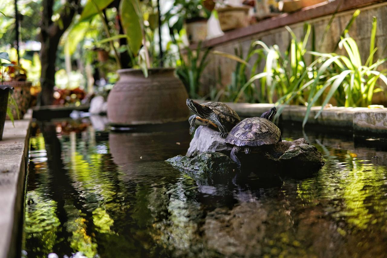 Hotel Lani'S House By The Ponds Vientiane Exterior foto